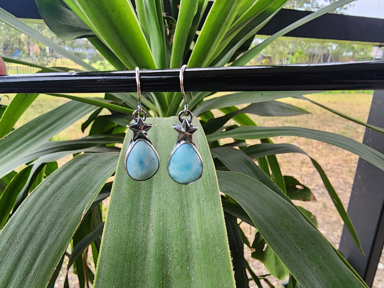 Dangle earrings with star and larimar on a black stick with a plant in the background